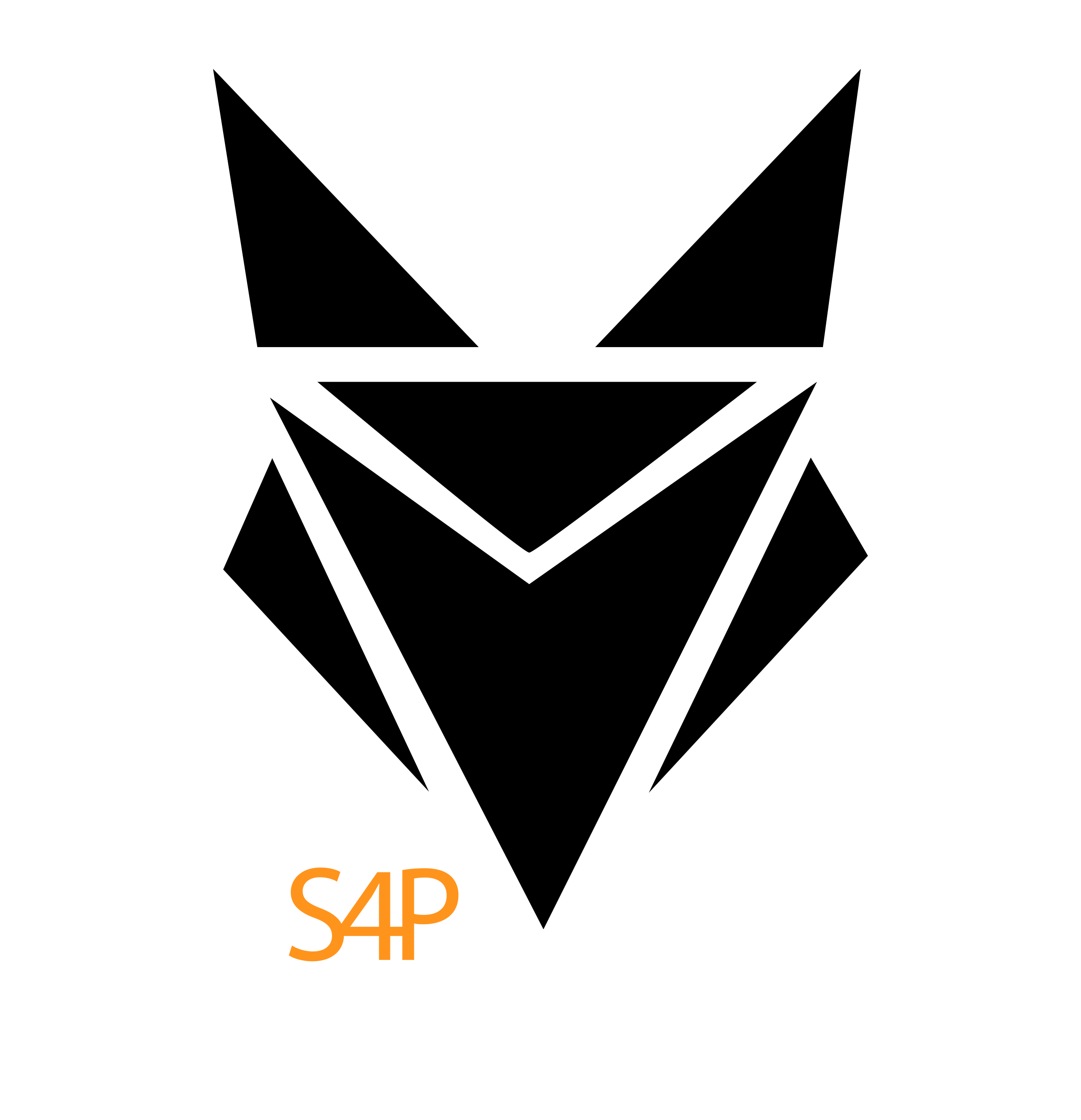 Logo S4P S.A.